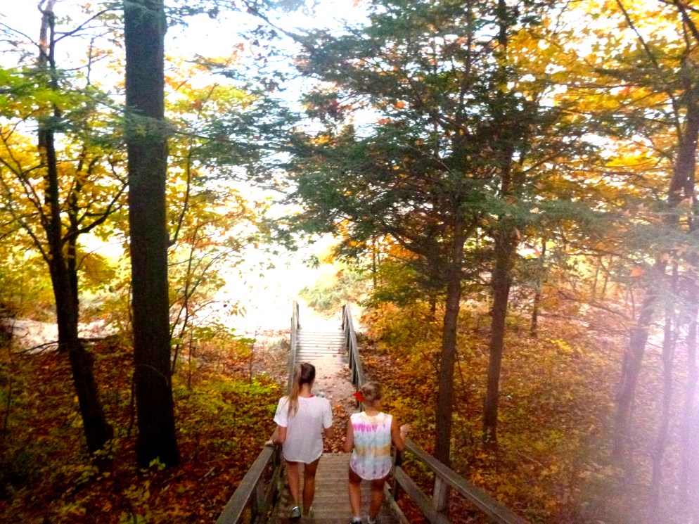 Photo by Amanda Dort