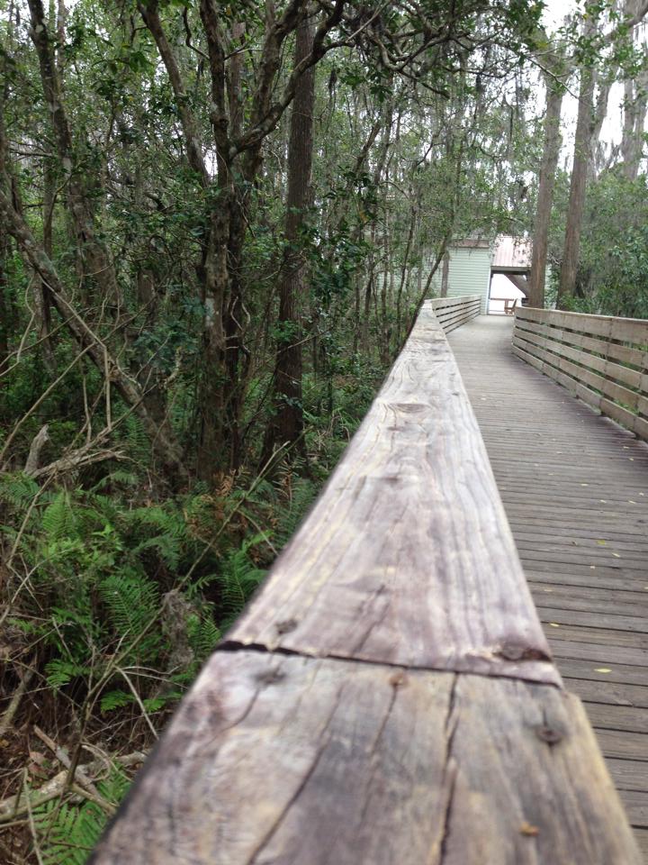 Photo by Caitlyn Campbell