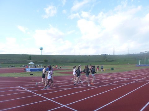 Photo by Amanda Dort