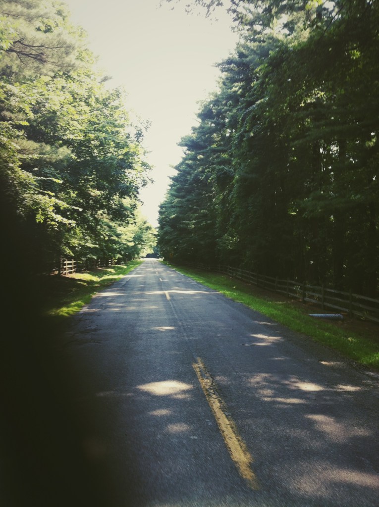 Photo by Graham Hoppstock