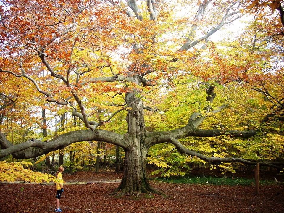 Photo by Sheri McCormack