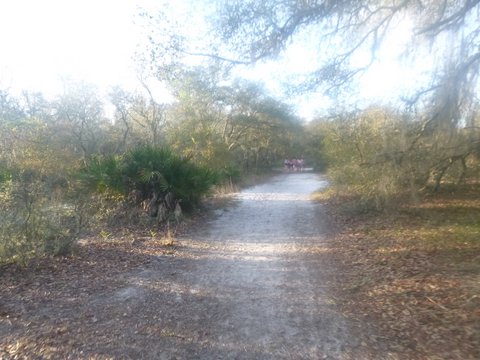 Photo by Amanda Dort