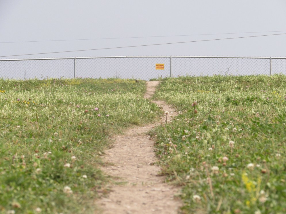 Photo by James Rogers