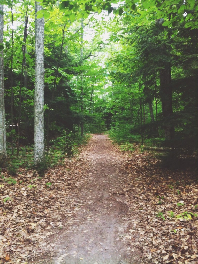 Photo by Graham Hoppstock