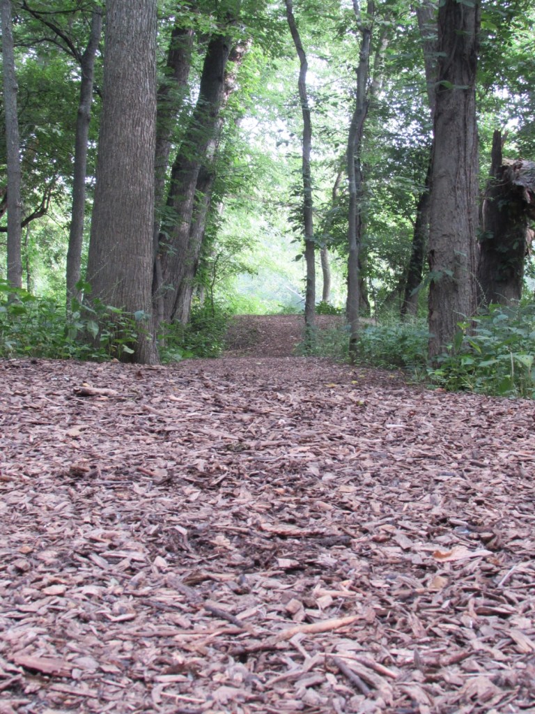 Photo by James Rogers