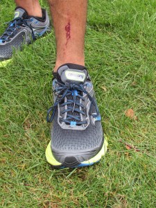 Photo by James Rogers