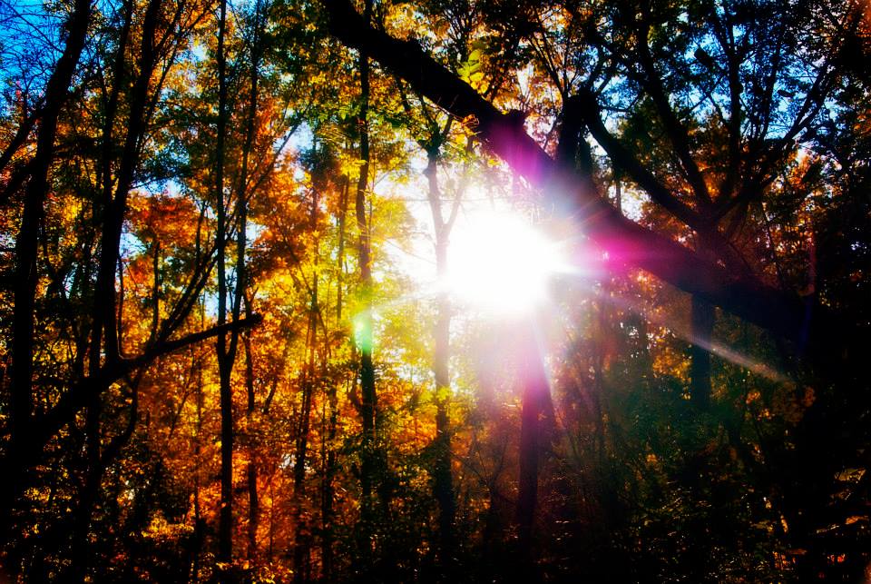 Photo by Bethany Rogers