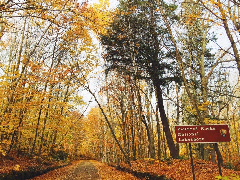 Photo by Kimberly Collins