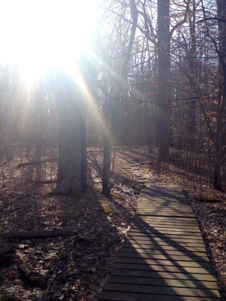 Photo by Bethany Rogers; Bayville, Long Island, New York