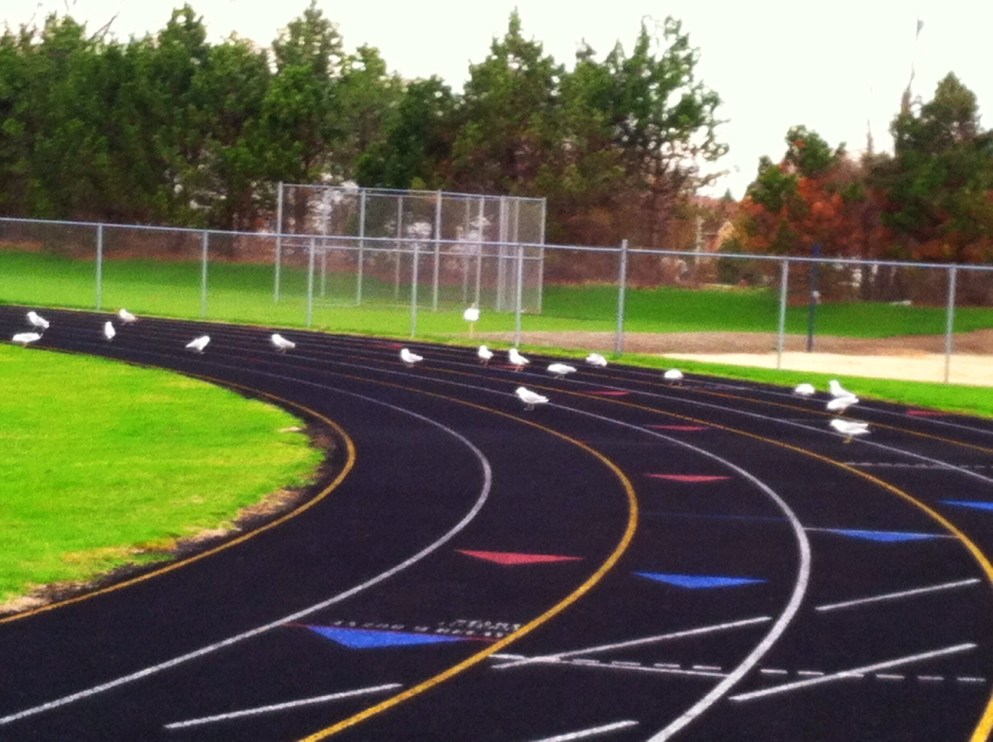 Photo by James Rogers