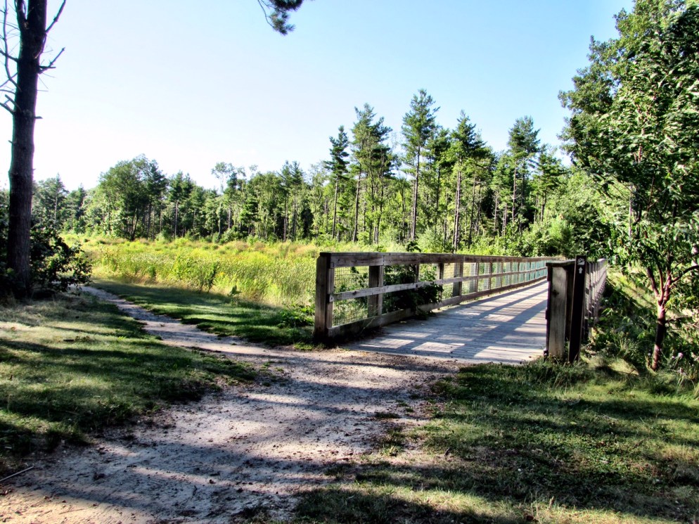 Photo by James Rogers