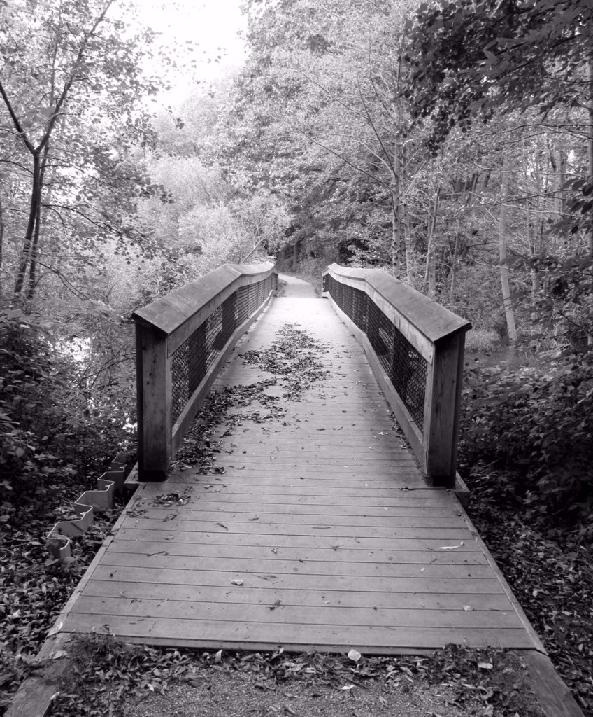 Photo by James Rogers