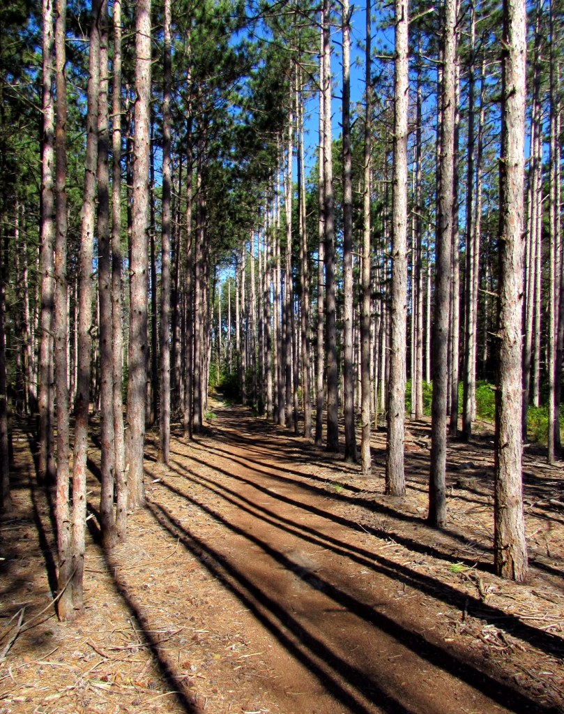 Photo by James Rogers