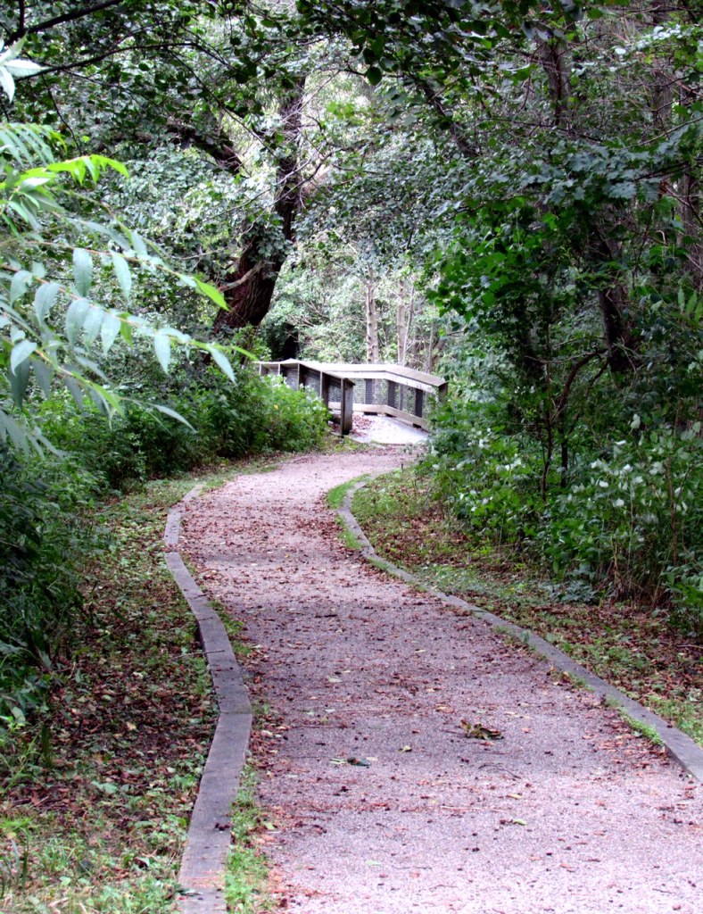 Photo by James Rogers