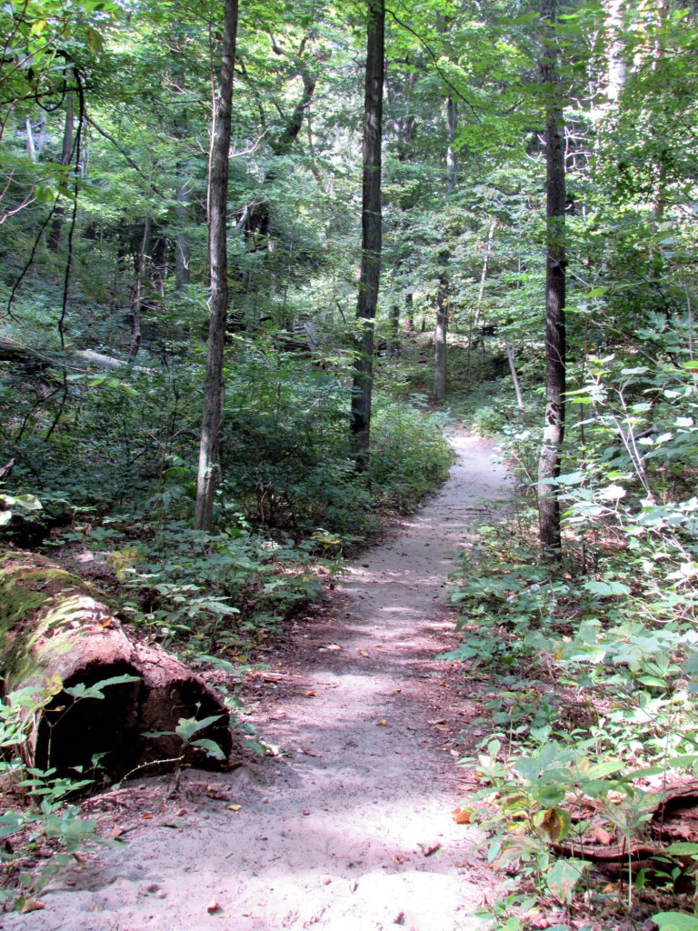 Photo by James Rogers