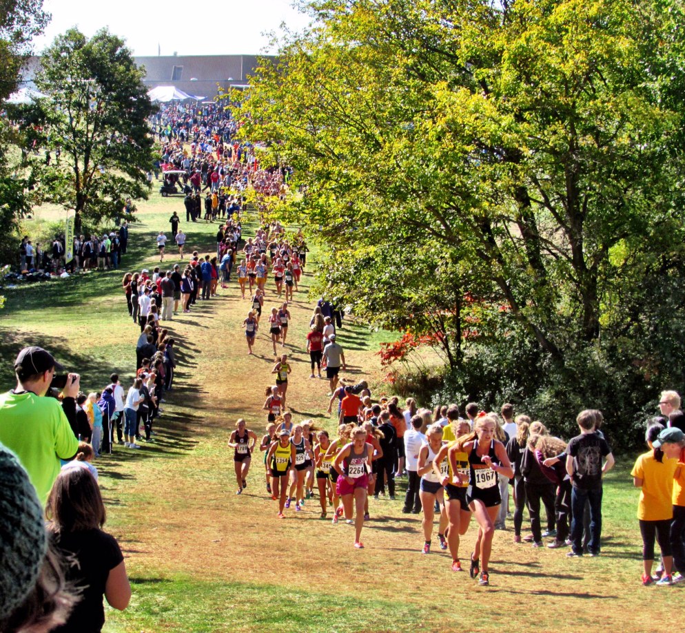 Photo by James Rogers