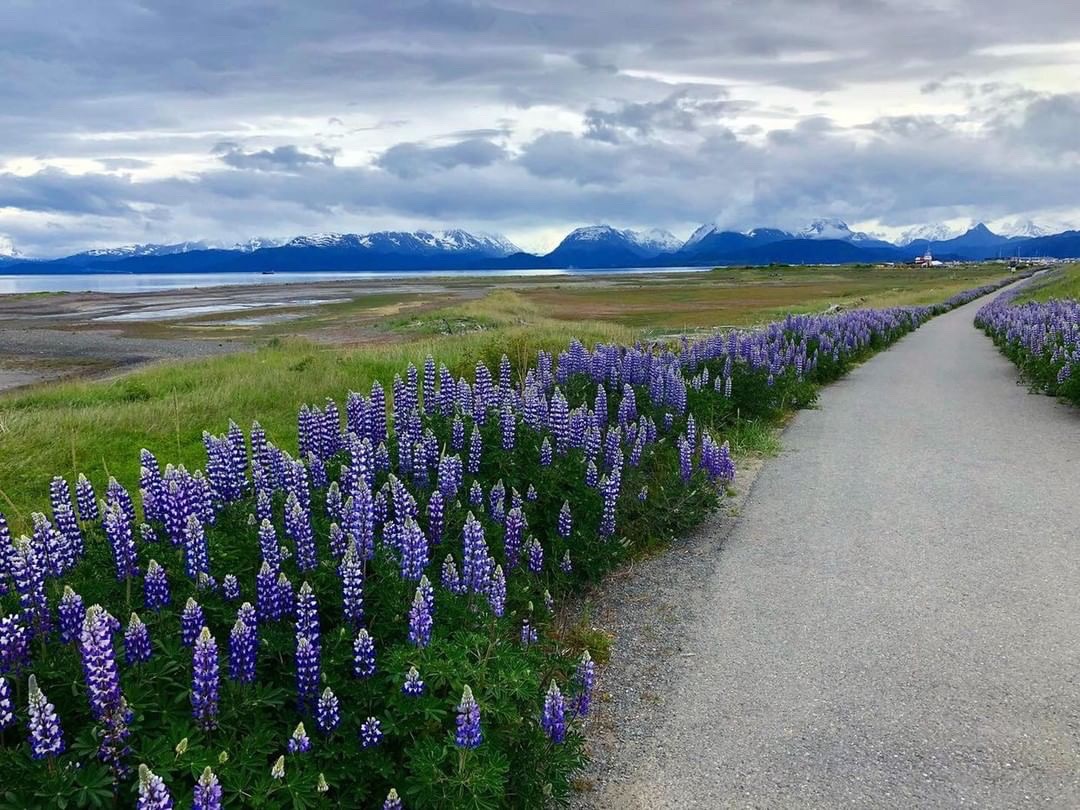 C2BE6B17-D094-4DBD-BC86-67E3461B5CAF